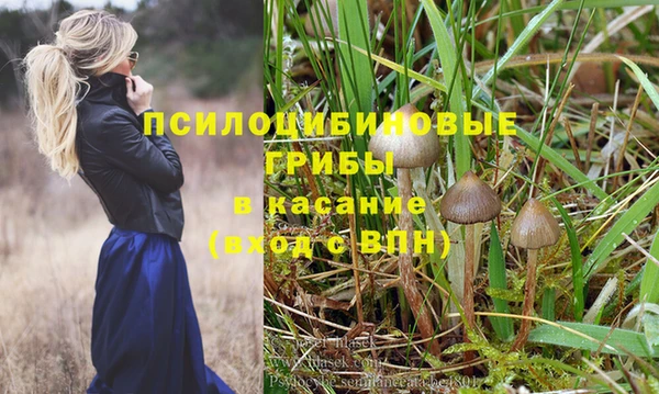 мдпв Заволжск