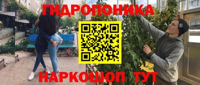 шишки Балахна